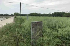 7郑家驿-茶庵铺：麦家河抗战机场旧址