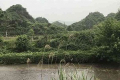 8茶庵铺-毛家溪-太平铺-官庄：进山了