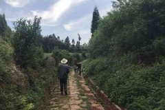 30盘县-富源：胜境关附近的驿道之一