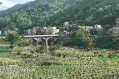 24黄果树-关岭：谷底的老桥