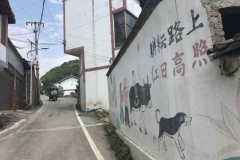 25关岭-永宁：顶云新村之一